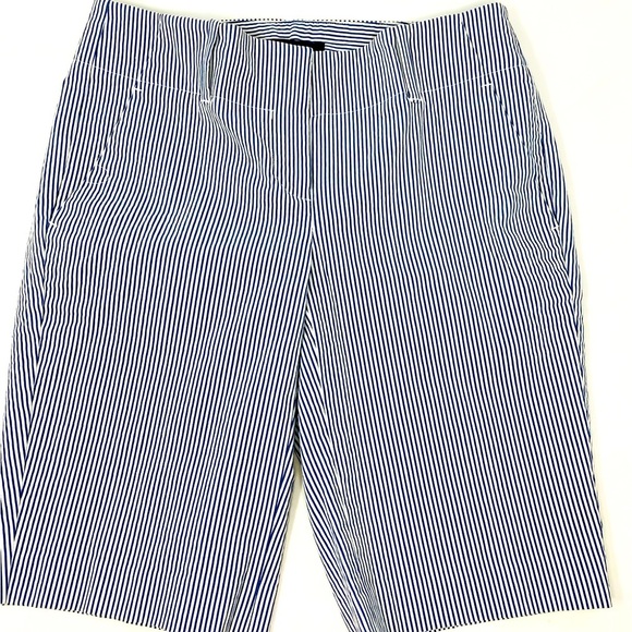 Ann Taylor Pants - Women’s Ann Taylor Blue and White Flat Front Seersucker Shorts
